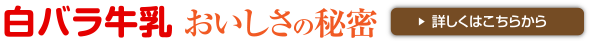 白バラ牛乳おいしさの秘密 詳しくはこちらから