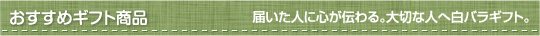おすすめギフト商品 届いた人に心が伝わる。大切な人へ白バラギフト。